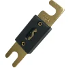AIMS Power ANL 100 Amp Fuse (ANL100)