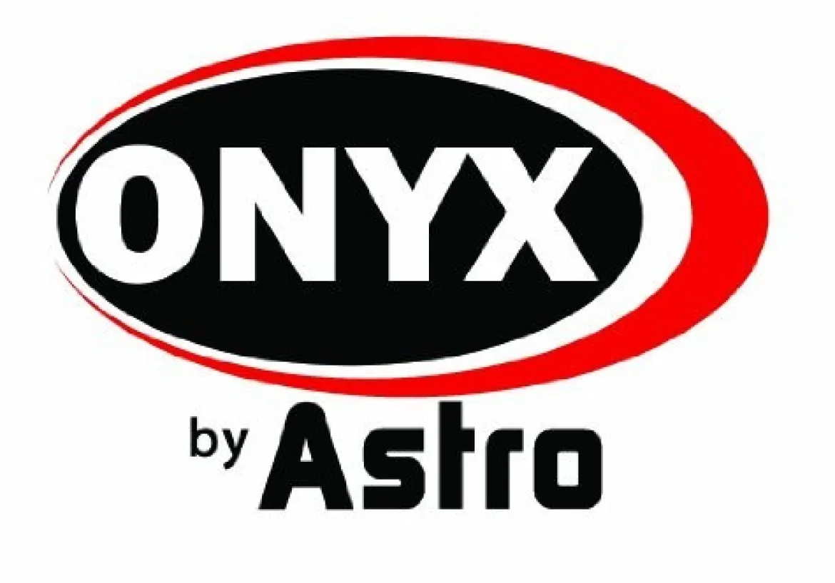 Astro Pneumatic Onyx 6 Inch Finishing Palm Sander (322P)