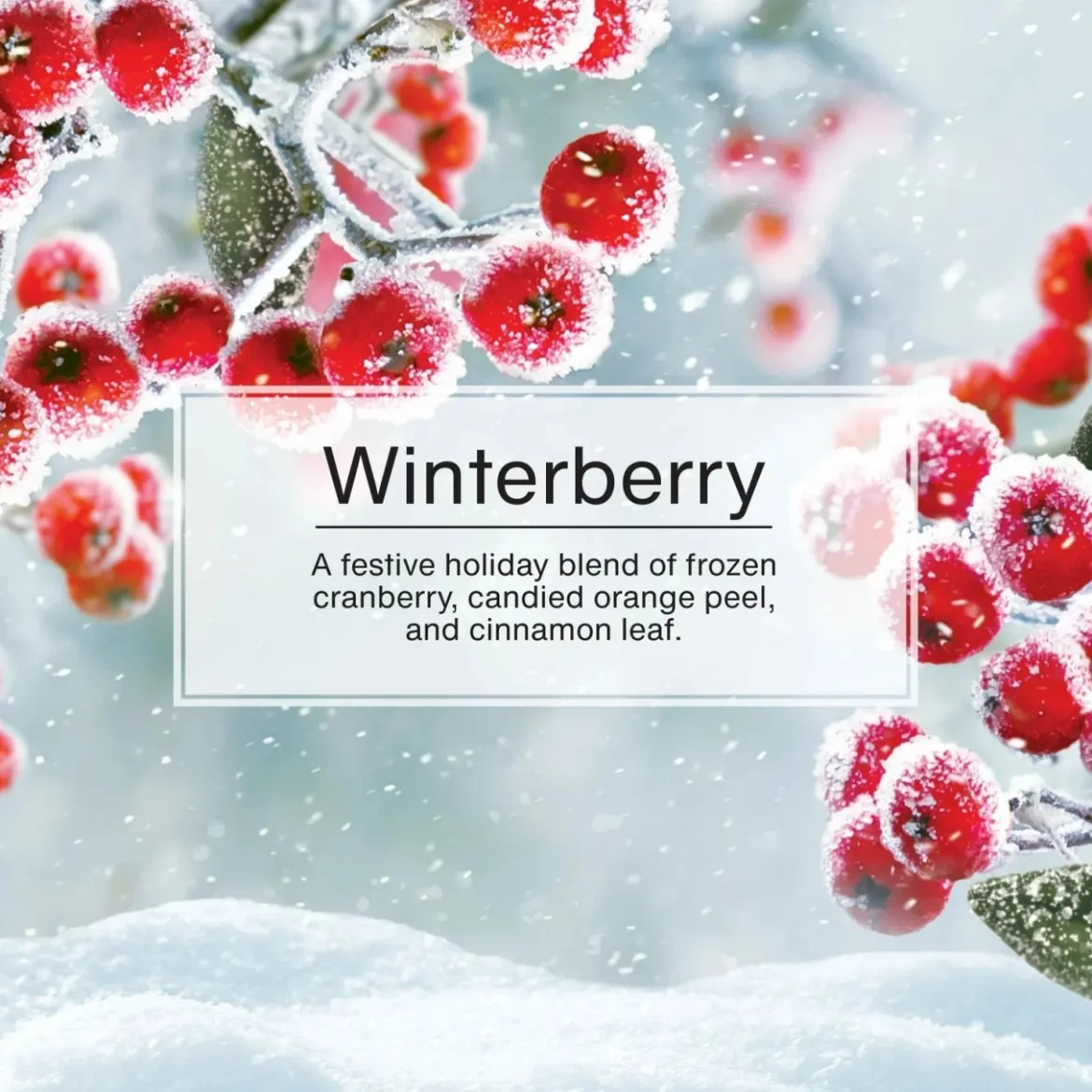 Car Freshner Car Air Fresheners - Winterberry, 3 Pack (U3S-37456)