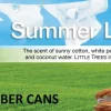 Car Freshner UFC-17874-24 Little Trees Air Fresheners Summer Linen Fiber, 4 Pack