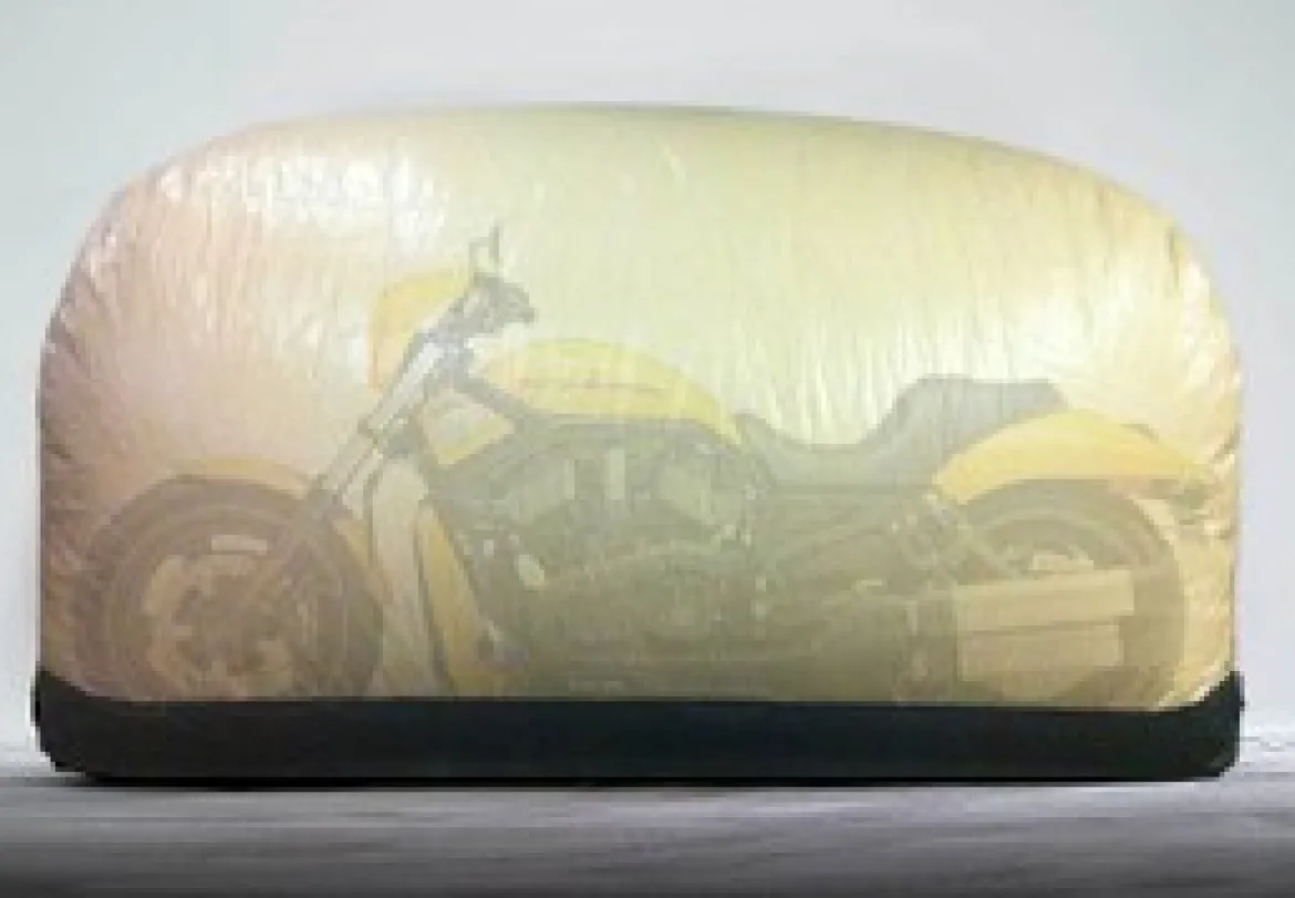 CarCapsule 9' BikeCapsule Outdoor (BBO9F)