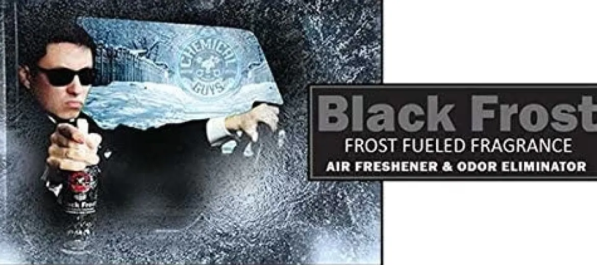 Chemical Guys Black Frost Scent Air Freshener (AIR_224_04)