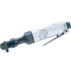 Chicago Pneumatic 1/4 Inch Drive Air Ratchet with 5-15 ft-lbs Working Torque (CP824)