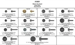Disco Automotive 8681 Grey Replacement Hex Head Body Bolt Assortment
