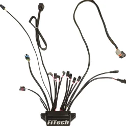 FiTech 30008 Replacement ECU (30008-1)