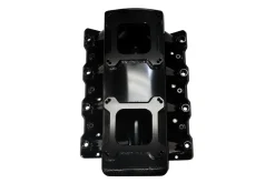 FiTech 2x4 LS Manifold Replacement (70081-1)