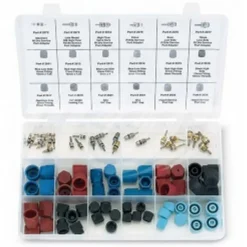 FJC Master Valve Core and Cap Assortment Kit for HVAC and Auto (2683)
