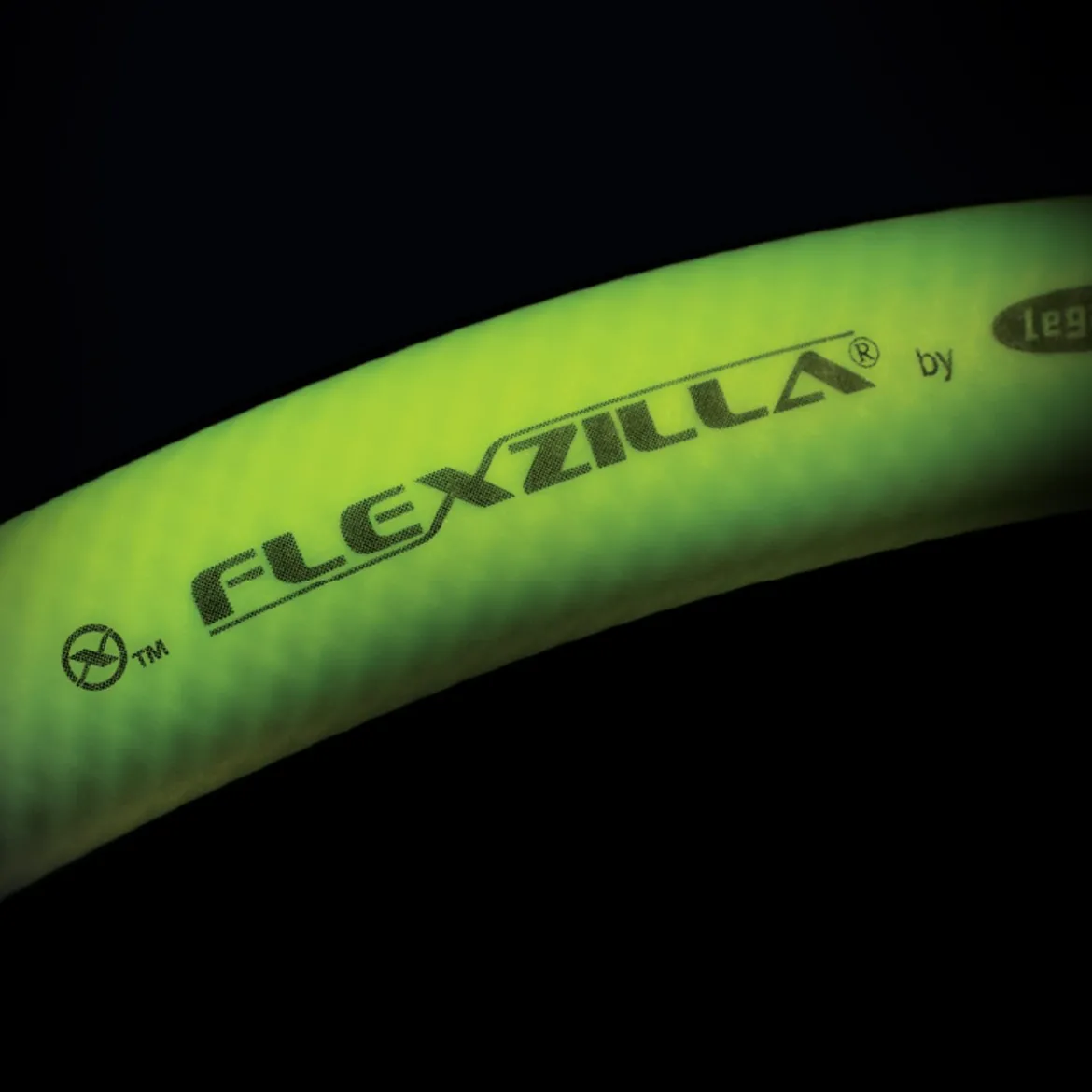Flexzilla Straight-On Tapered Chuck Inflator with 12-Inch Hose (AL2000FZ)