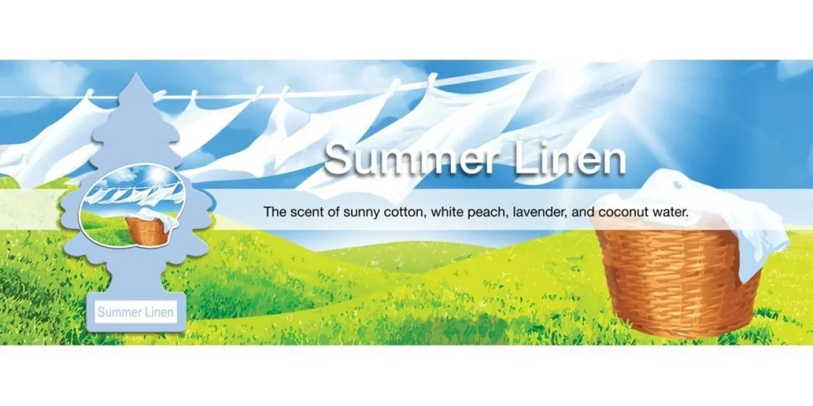 Little Trees Air Fresheners 6-Pack Summer Linen