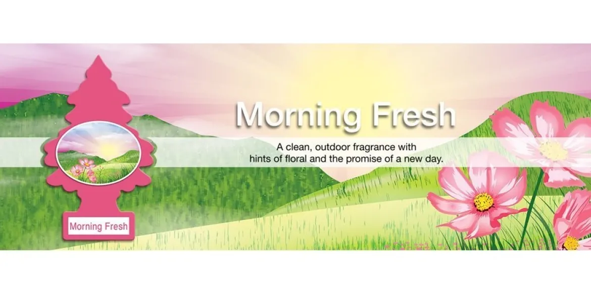Little Trees Air Fresheners 6-Pack Morning Fresh