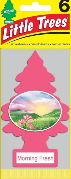 Little Trees Air Fresheners 6-Pack Morning Fresh