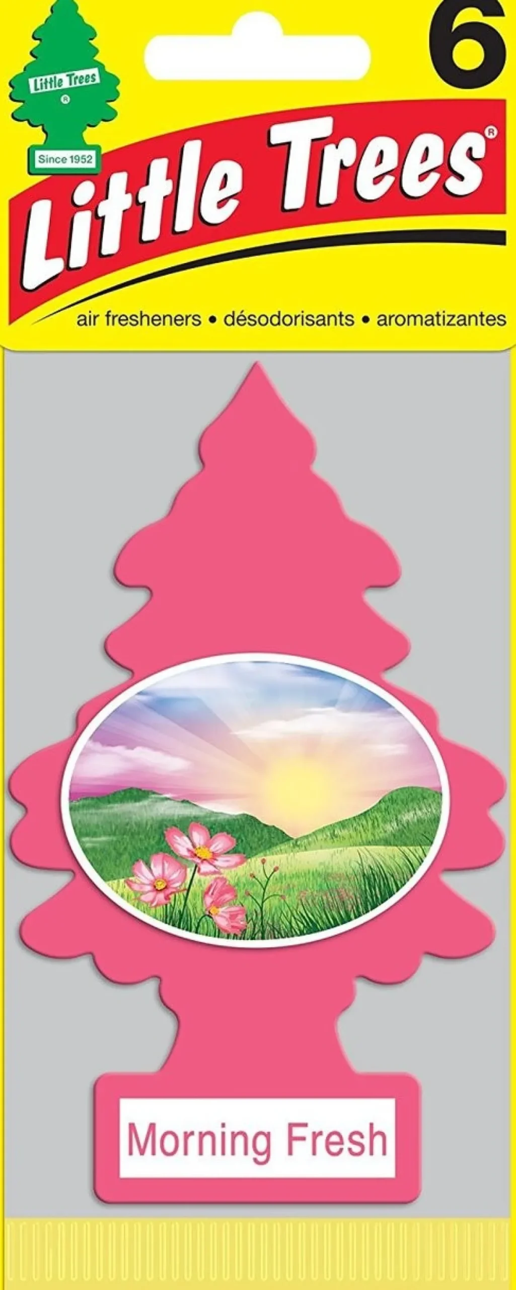 Little Trees Air Fresheners 6-Pack Morning Fresh