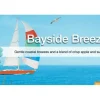 Little Trees Air Fresheners 6-Pack Bayside Breeze
