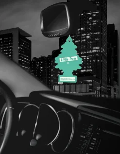 Little Trees Air Fresheners 6-Pack Bayside Breeze