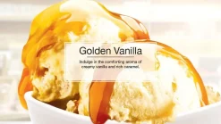 Little Trees CTK-52632-24 Air Car Freshener Vent Liquid Golden Vanilla, 4-Pack