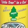 Little Trees In A Can Aerosol Sprays New Car Scent