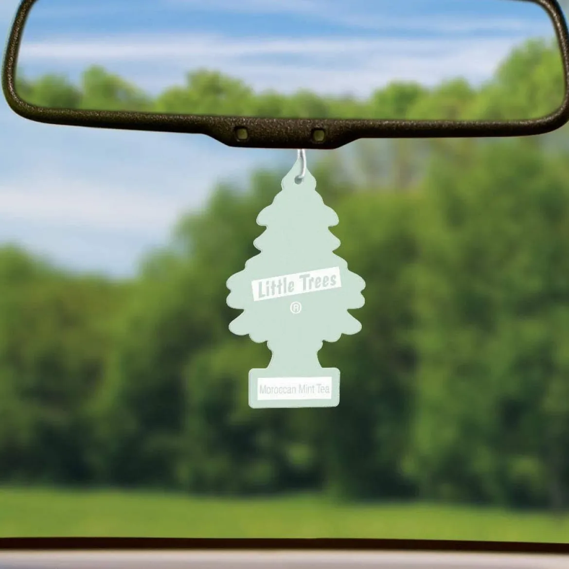 Little Trees U6P-60262 Air Car Freshener Traditional Maroccan Mint Tea, 6-Pack