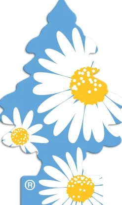 Little Trees U6P-67347 Air Car Freshener Traditional Daisy Fields, 6-Pack