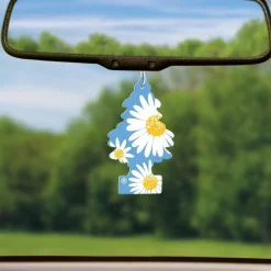 Little Trees U6P-67347 Air Car Freshener Traditional Daisy Fields, 6-Pack