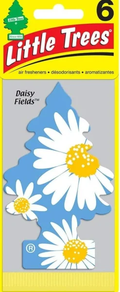 Little Trees U6P-67347 Air Car Freshener Traditional Daisy Fields, 6-Pack