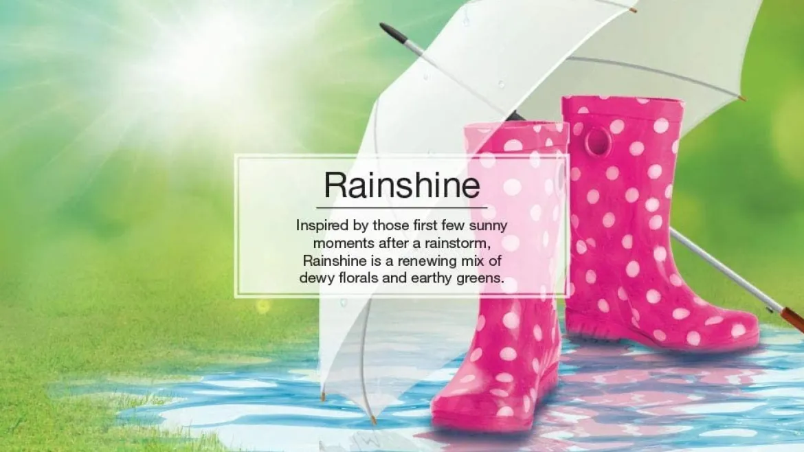 Little Trees U6P-60249 Air Car Freshener Traditional Rainshine, 6-Pack