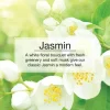 Little Trees U6P-60433 Air Car Freshener Traditional Jasmin, 6-Pack