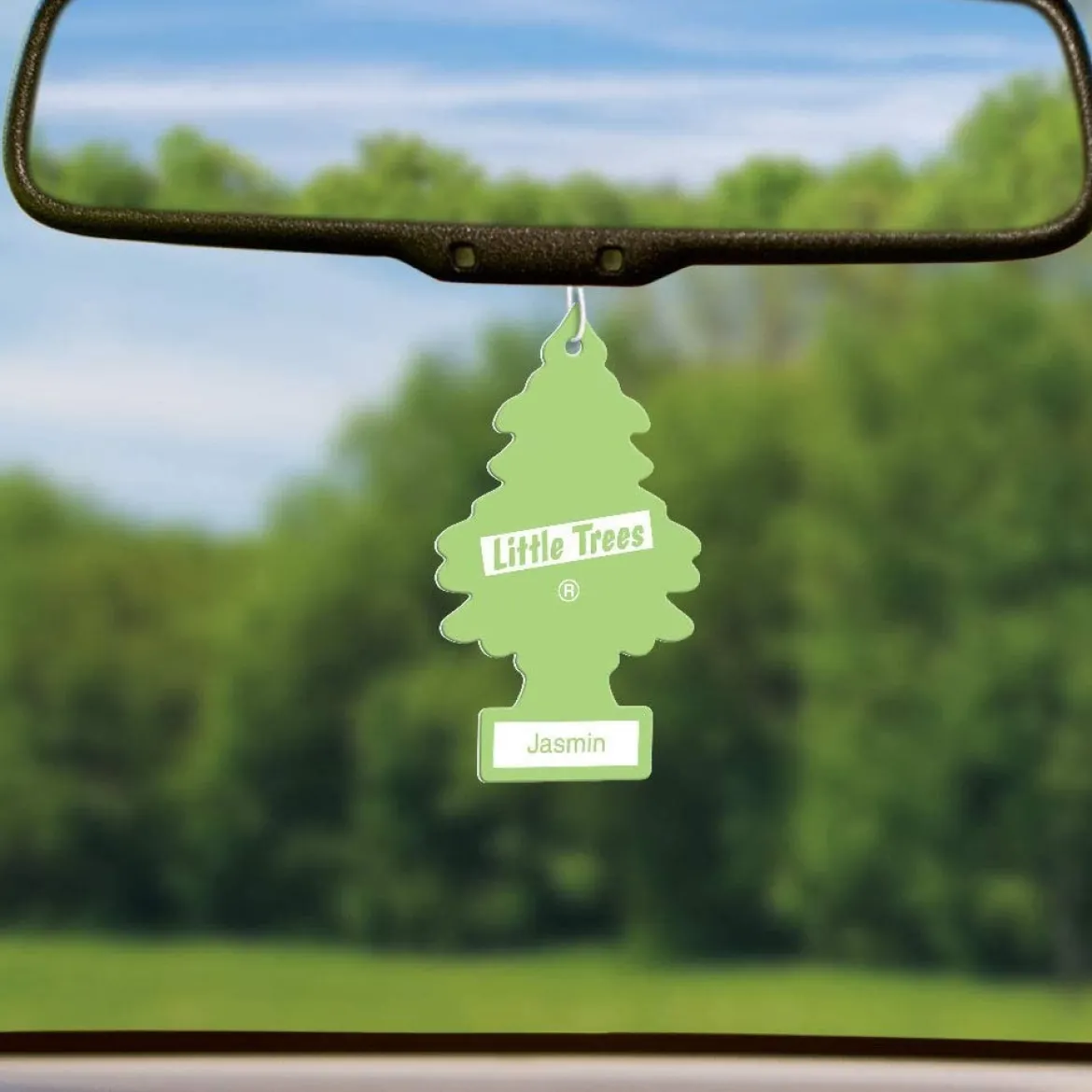 Little Trees U6P-60433 Air Car Freshener Traditional Jasmin, 6-Pack