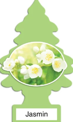 Little Trees U6P-60433 Air Car Freshener Traditional Jasmin, 6-Pack