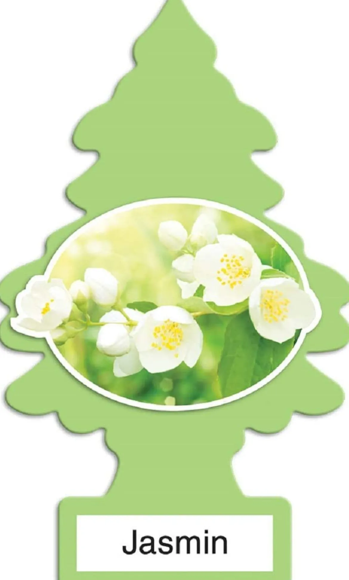 Little Trees U6P-60433 Air Car Freshener Traditional Jasmin, 6-Pack