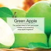 Little Trees U6P-60316 Air Car Freshener Traditional Green Apple, 6-Pack