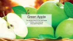 Little Trees U6P-60316 Air Car Freshener Traditional Green Apple, 6-Pack