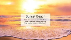 Little Trees U6P-67177 Air Car Freshener Traditional Sunset Beach, 6-Pack