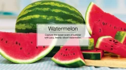 Little Trees U6P-60320 Air Car Freshener Traditional Watermelon, 6-Pack