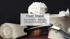Little Trees U6P-67068 Air Car Freshener Traditional Fresh Shave, 6-Pack