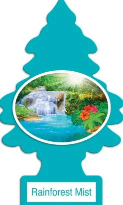Little Trees U6P-60106 Air Car Freshener Traditional Rainforest Mist, 6-Pack
