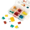 Performance Tool W5370 33-Piece Master Fuse Assortment , black