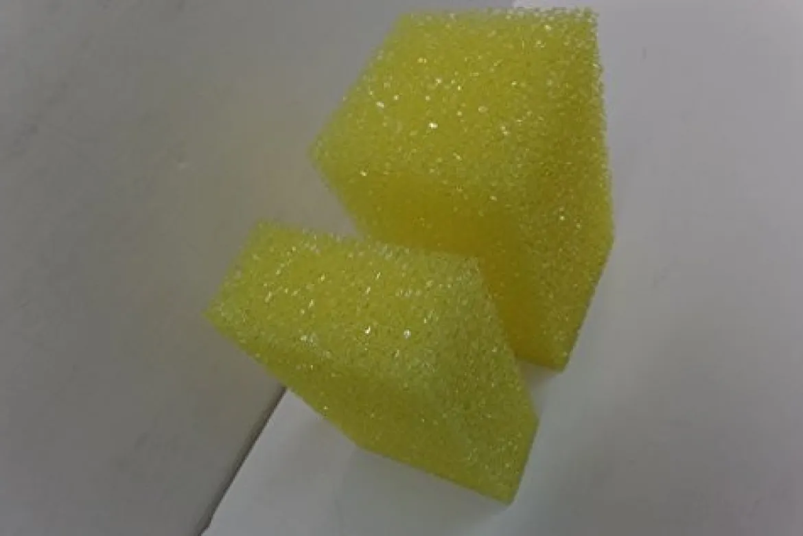 S.M. Arnold Sure Scrub Bug Sponge